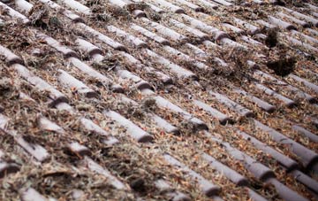 Sanderstead roof cleaning companies